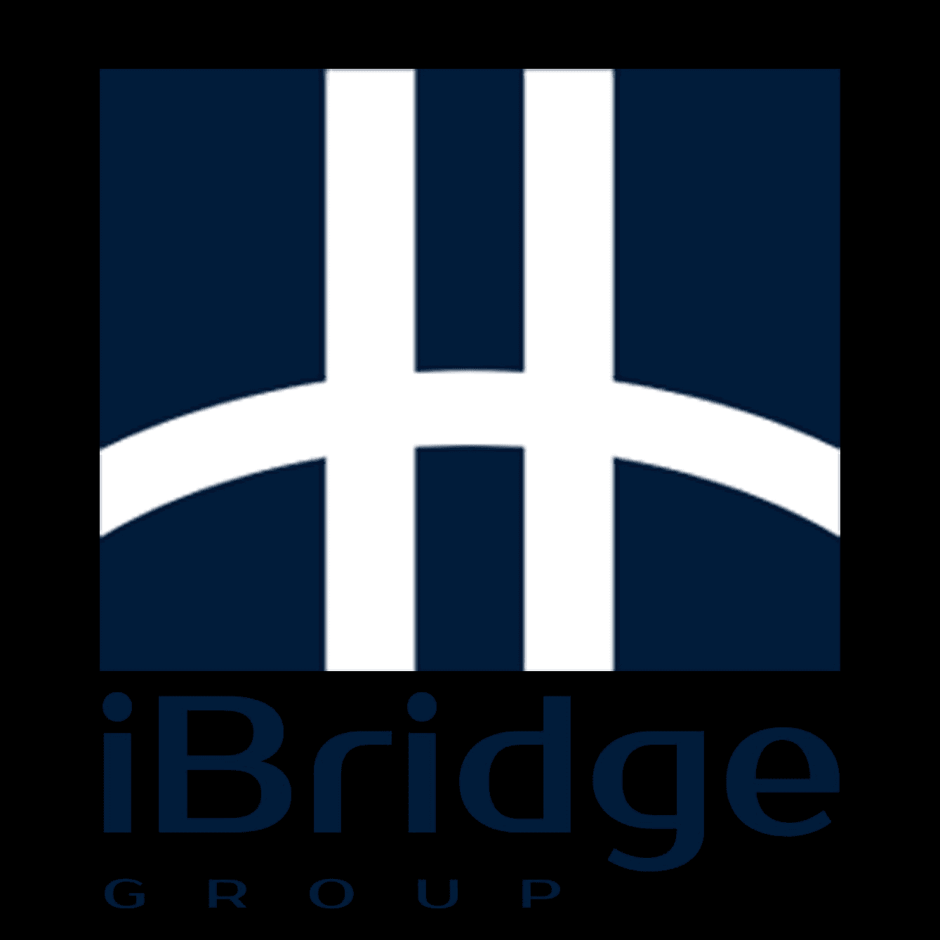 iBridge Group