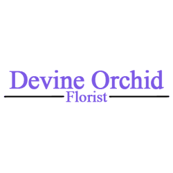 Devine Orchid Florist LLC