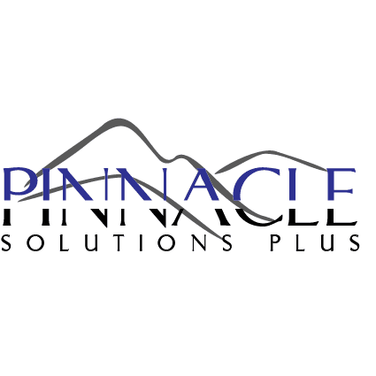 Pinnacle Solutions Plus: Merchant Services + Reputation Management