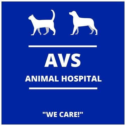 AVS Animal Hospital