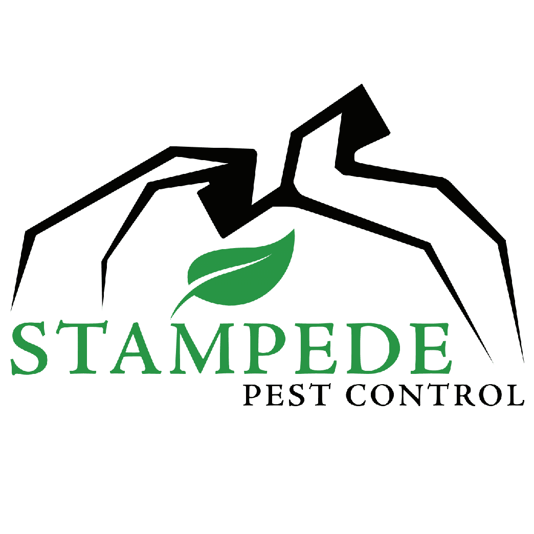 Stampede Pest Control