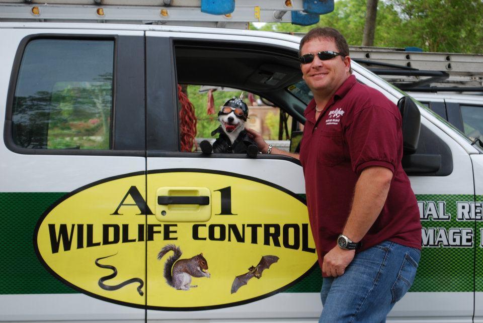 A-1 Wildlife Control