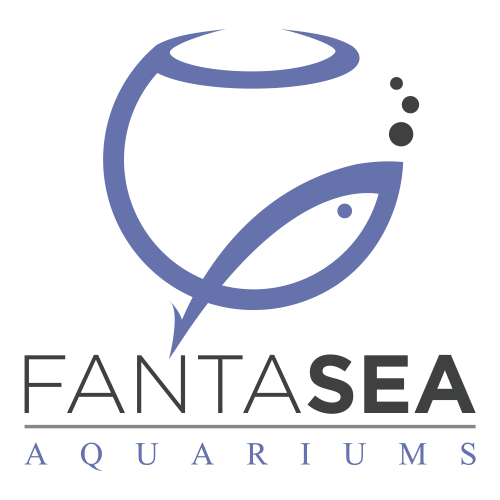 FantaSEA Aquariums | Aquarium Design, Installation, and Service