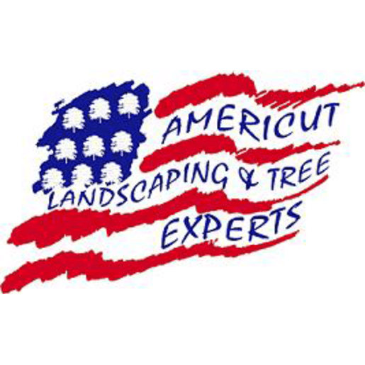 Americut Landscaping Tree Experts