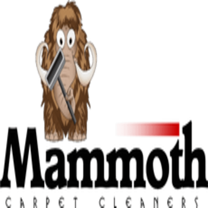 Mammoth Cleaners Inc