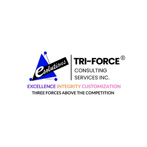 Tri-Force IT Consulting Services, Inc.