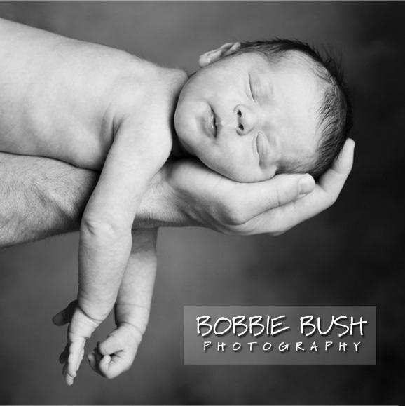 Bobbie Bush Photography