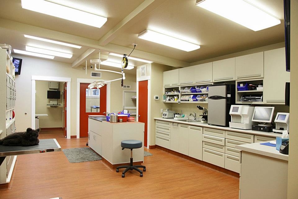 Laboratory area