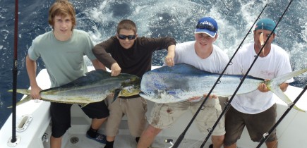 Tarpin Mahi South Florida