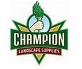 Houston Mulch - Champion Landscape Supply