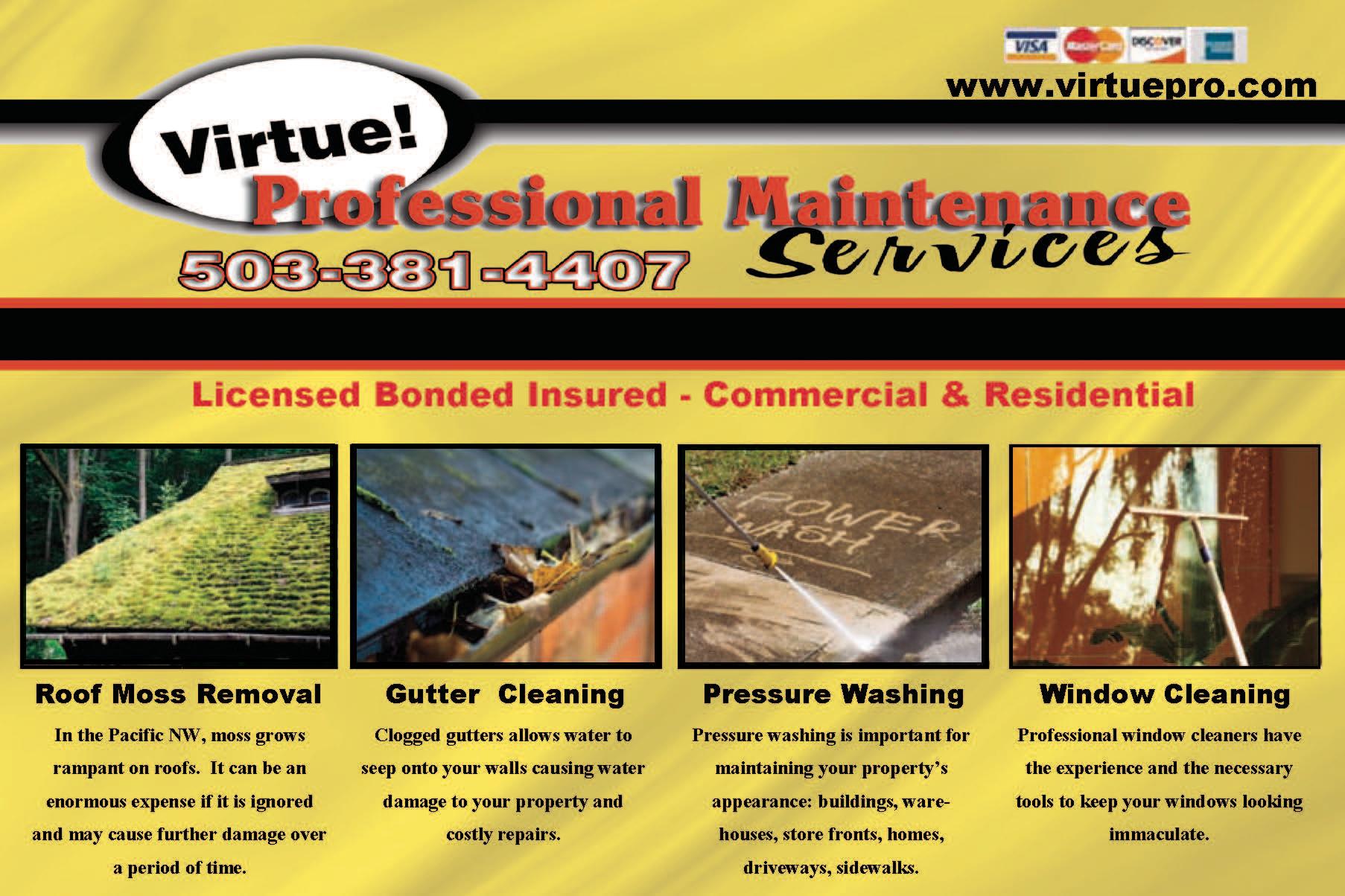 Virtue Maintenance Services