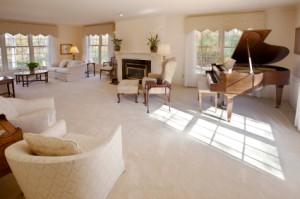 Eco Carpet Cleaning LLC - Orlando