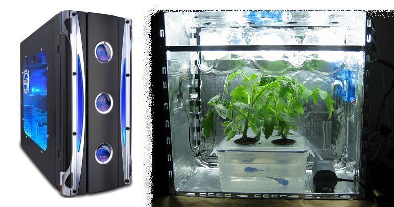 Grow box