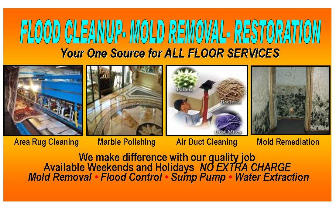 Tanin Carpet Cleaning, Water Damage Restoration & Mold Remediation