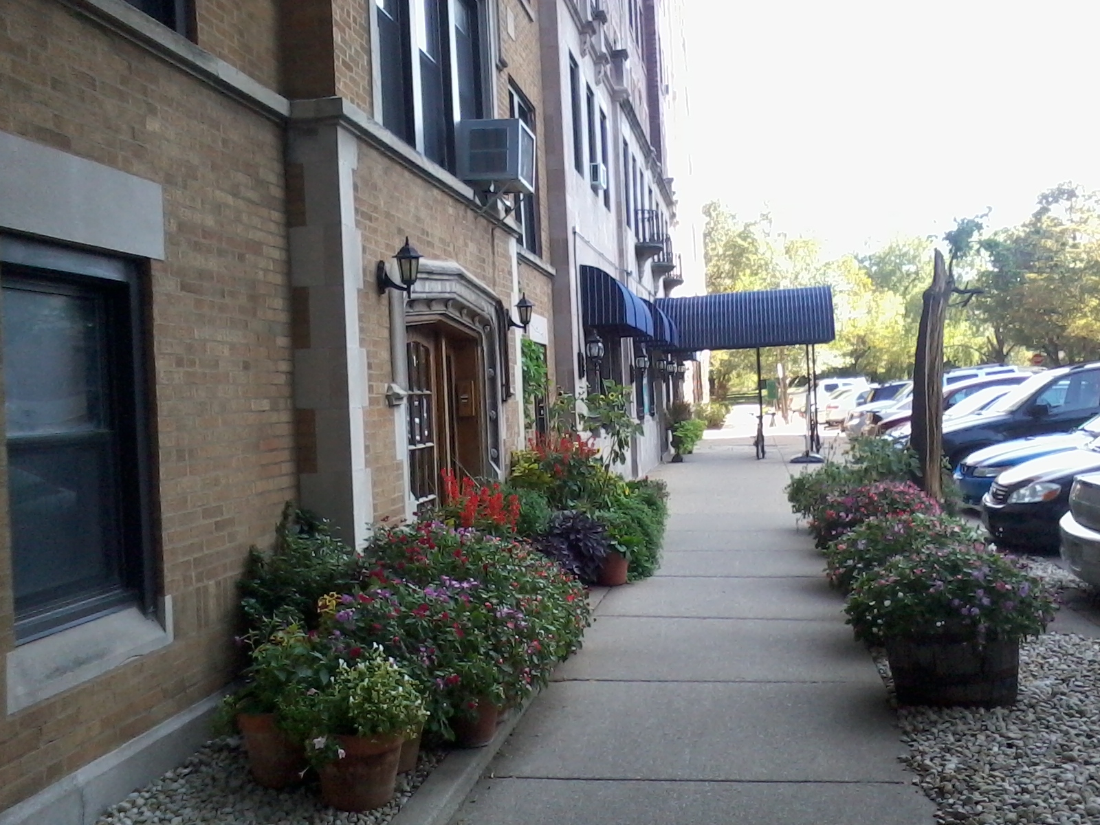 Museum Walk Apartments