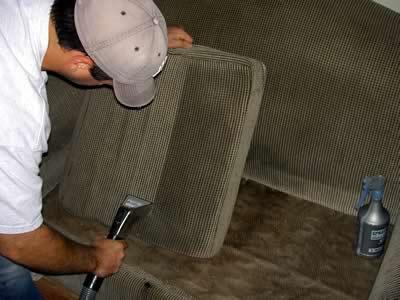 Absolute Carpet & Upholstery Cleaning LLC.