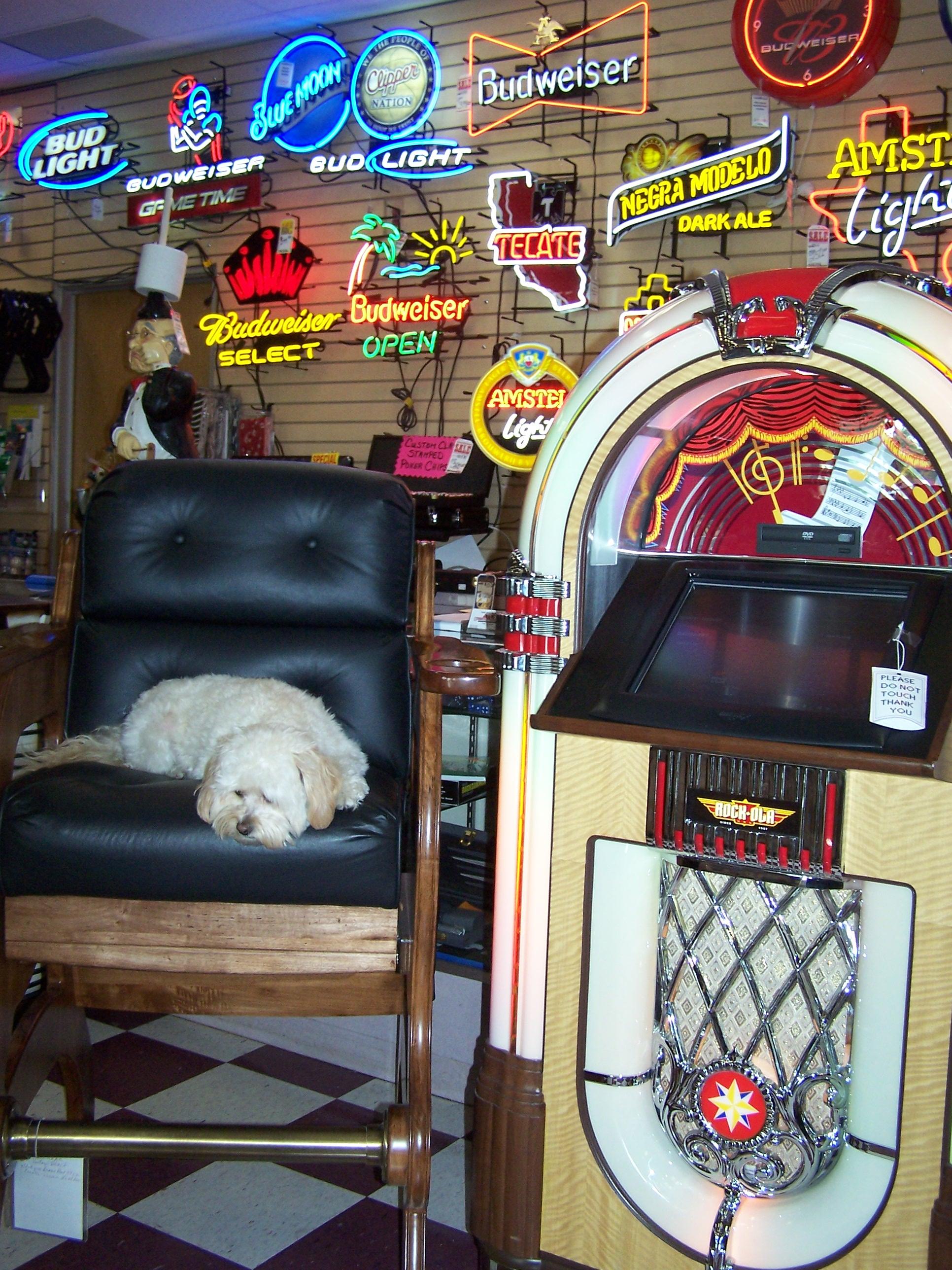 Jukebox and Shop Dog