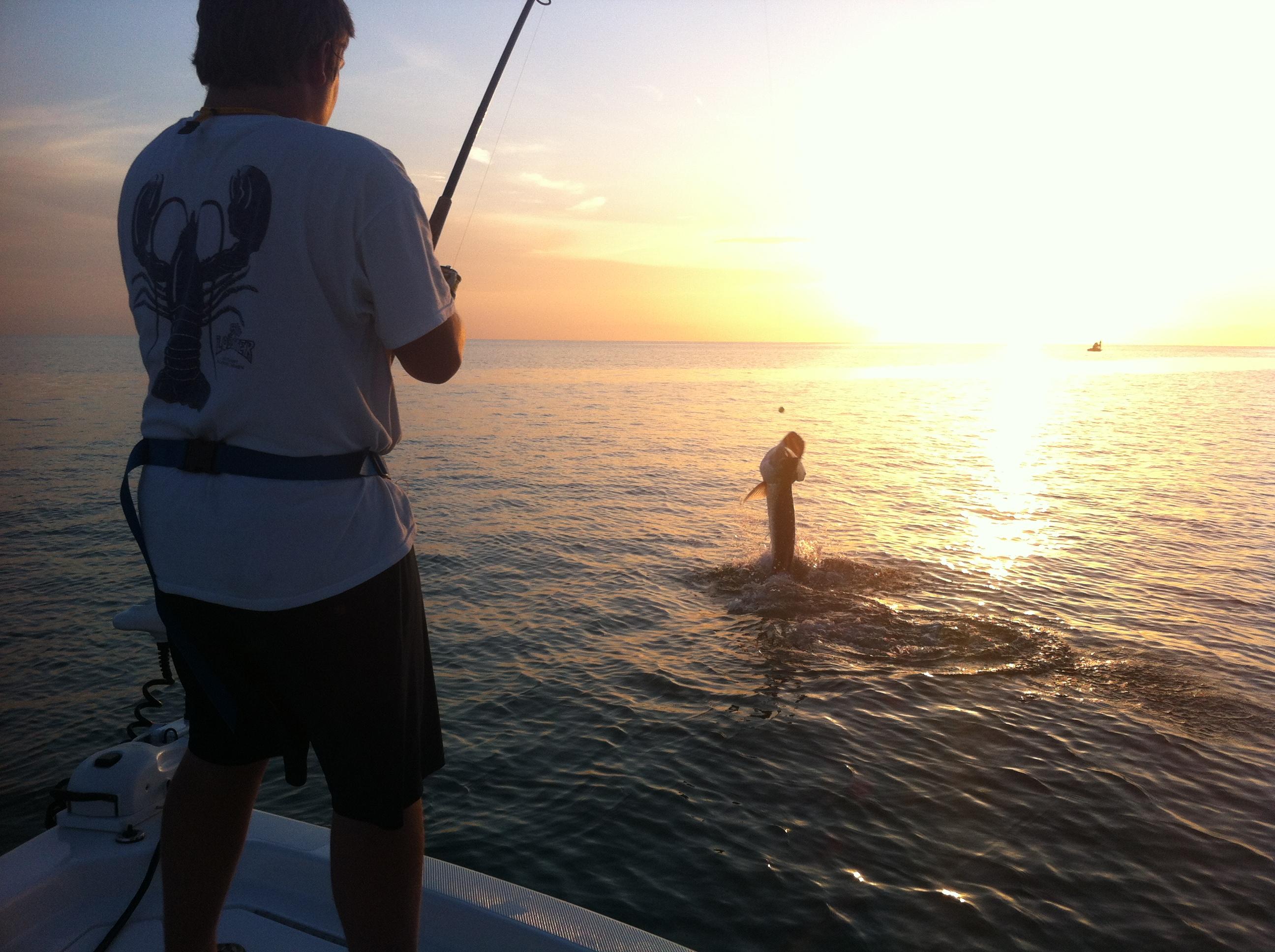 Boca Grande fishing charters sunset tarpon