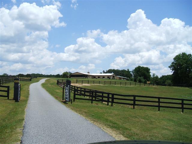 Four Winds Equestrian Center,  A great place to be a horse!