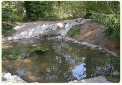 Water Features and Ponds