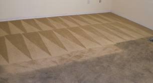 Beverly Hills Carpet Care IN Beverly Hills