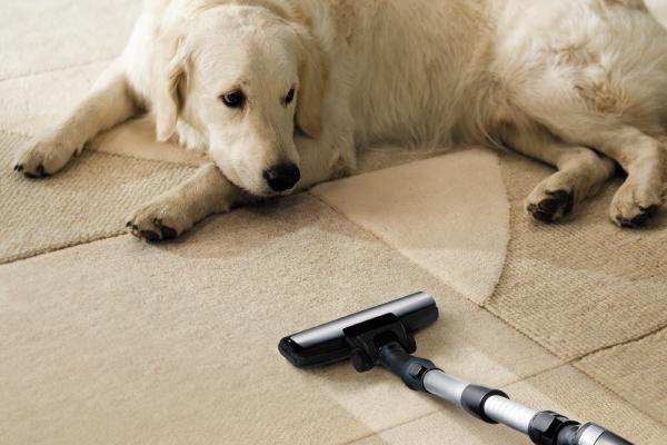 Loving's Carpet Cleaning