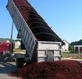 houston mulch delivery