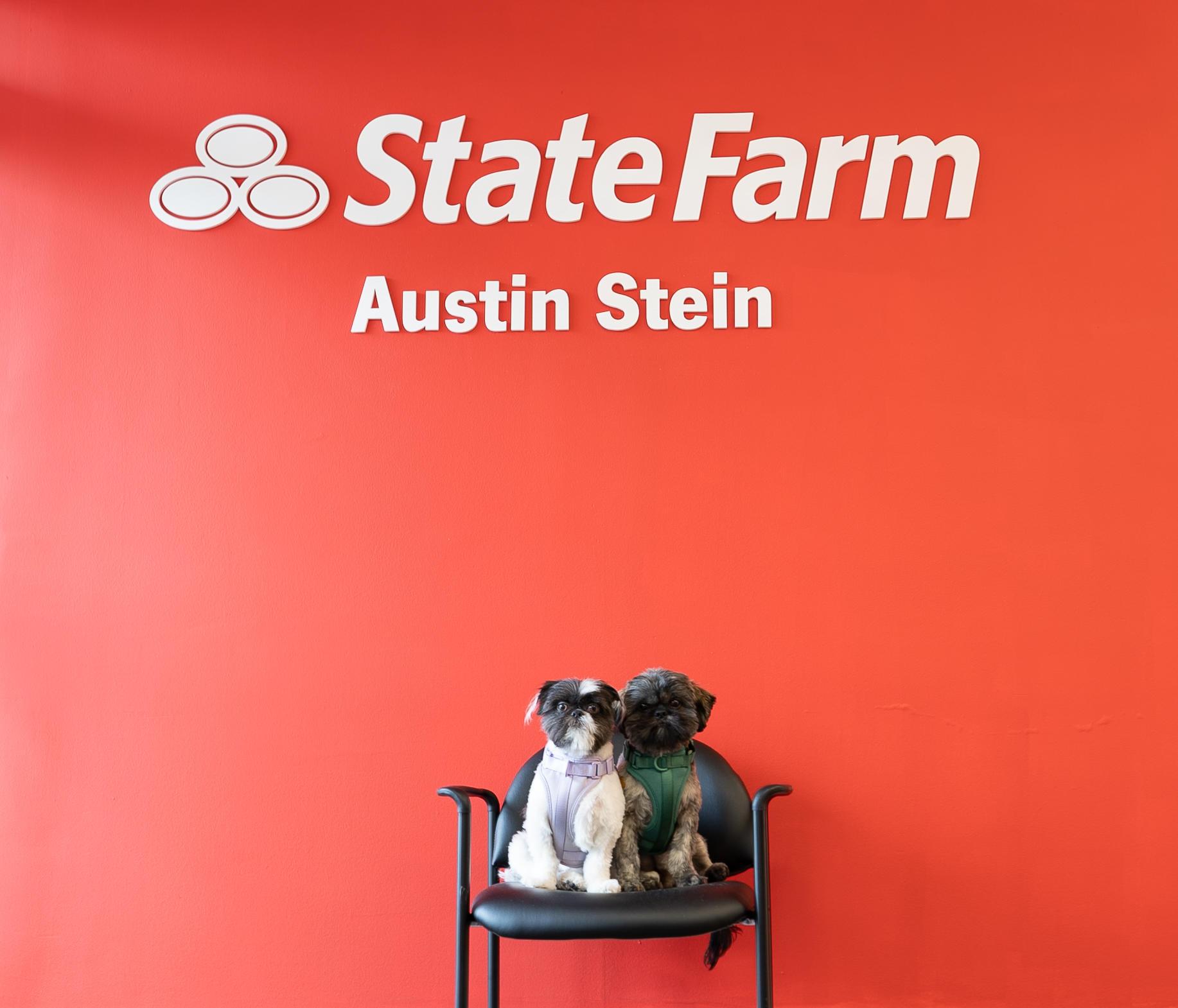 Austin Stein - State Farm Insurance Agent