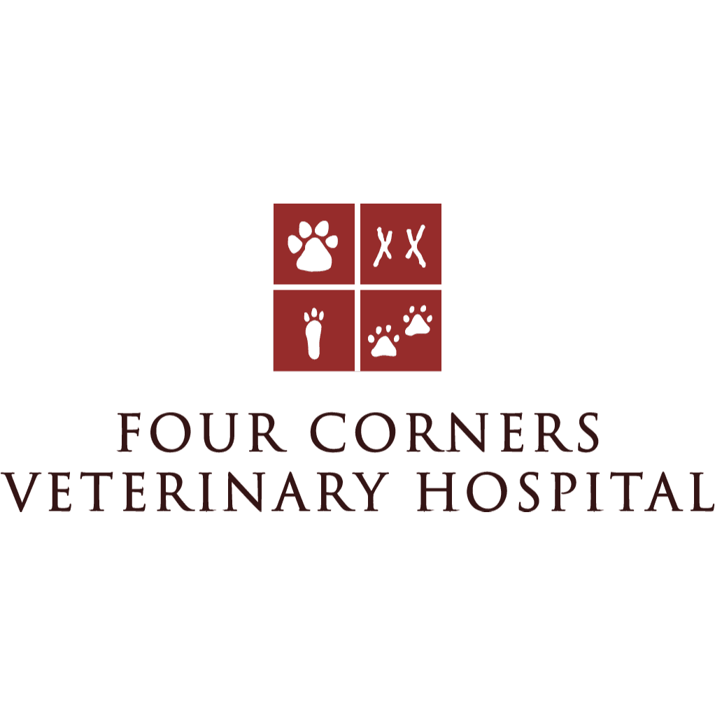 Christina Petri - Four Corners Veterinary Hospitals