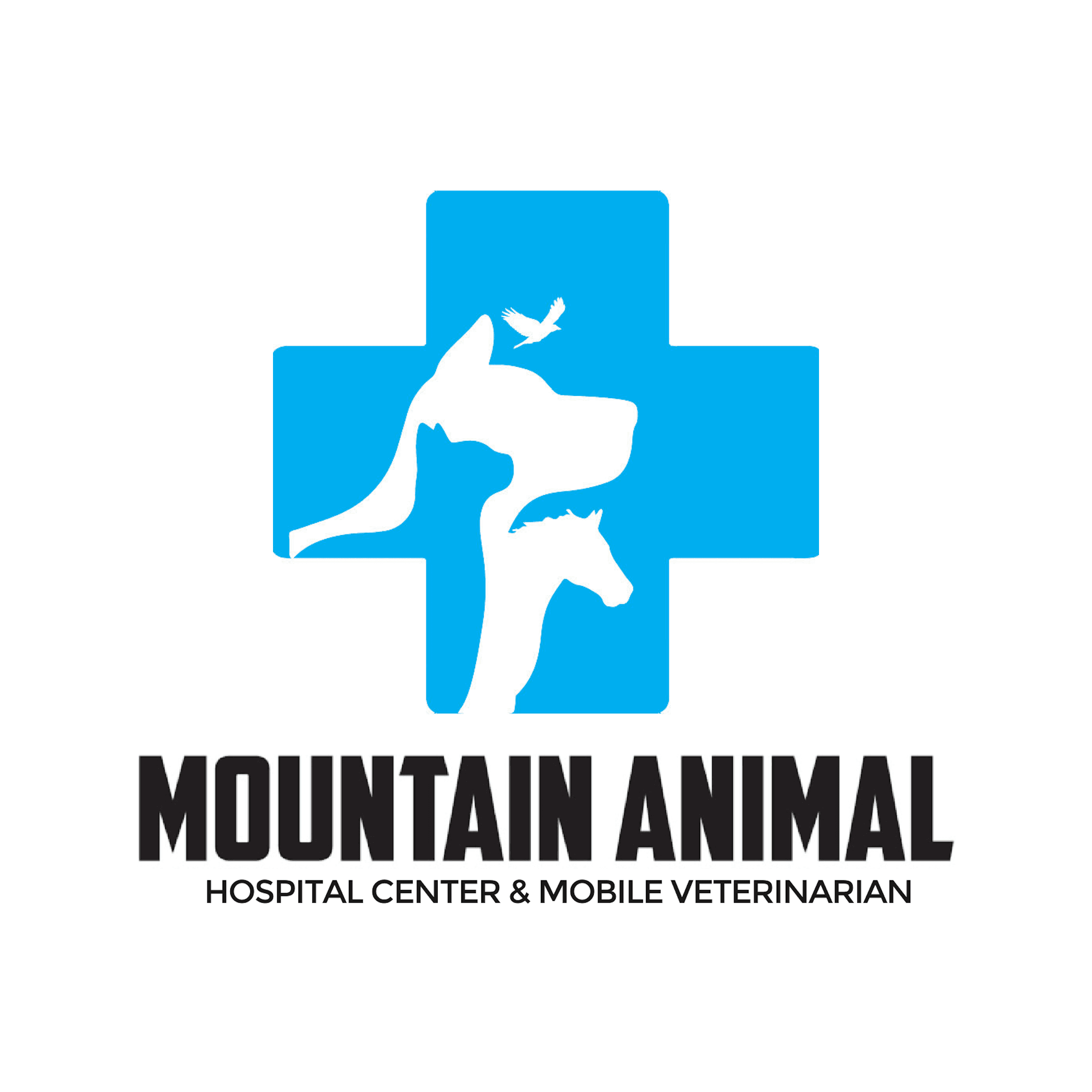 Mountain Animal Hospital Center