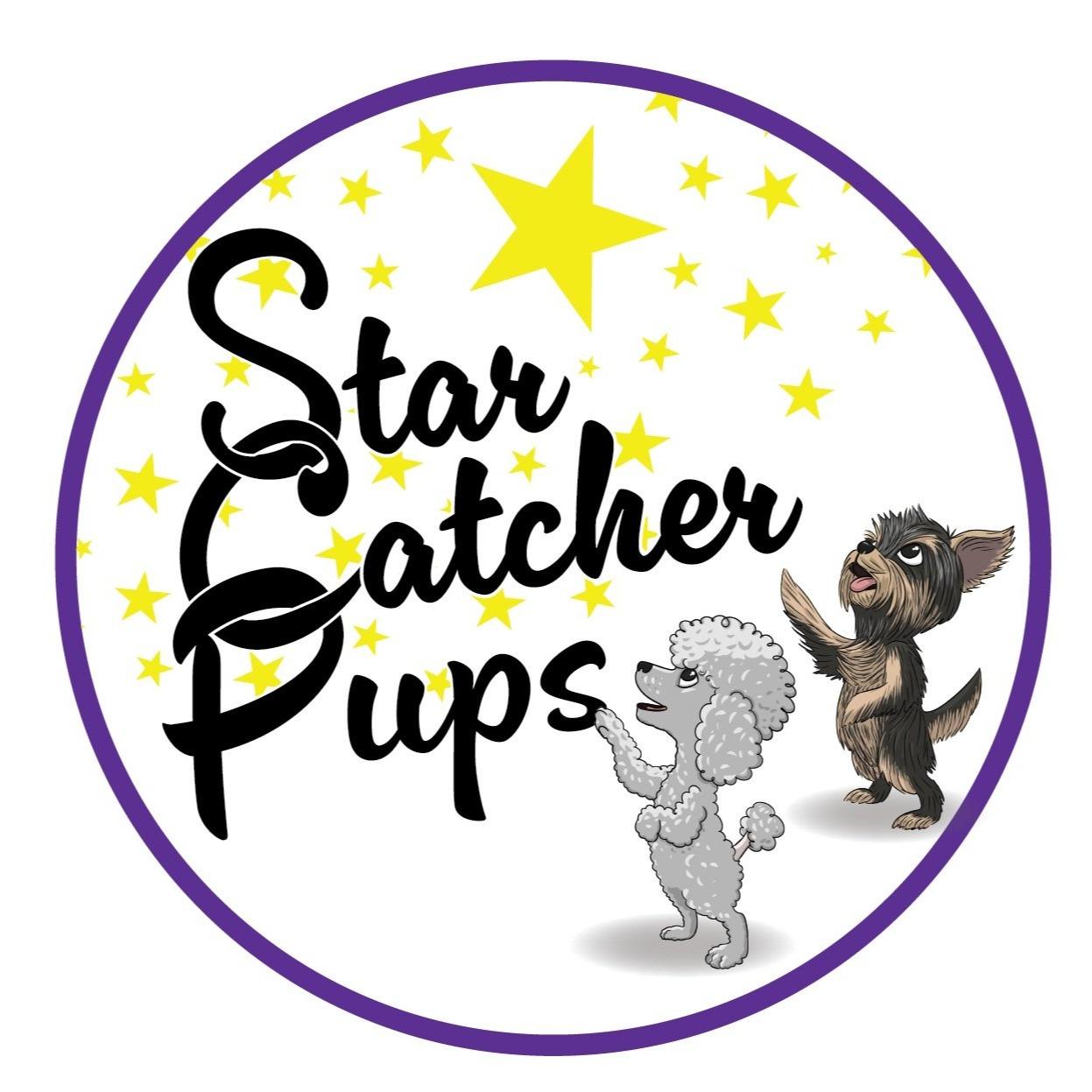 Star Catcher Pups