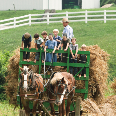 Hay Rides