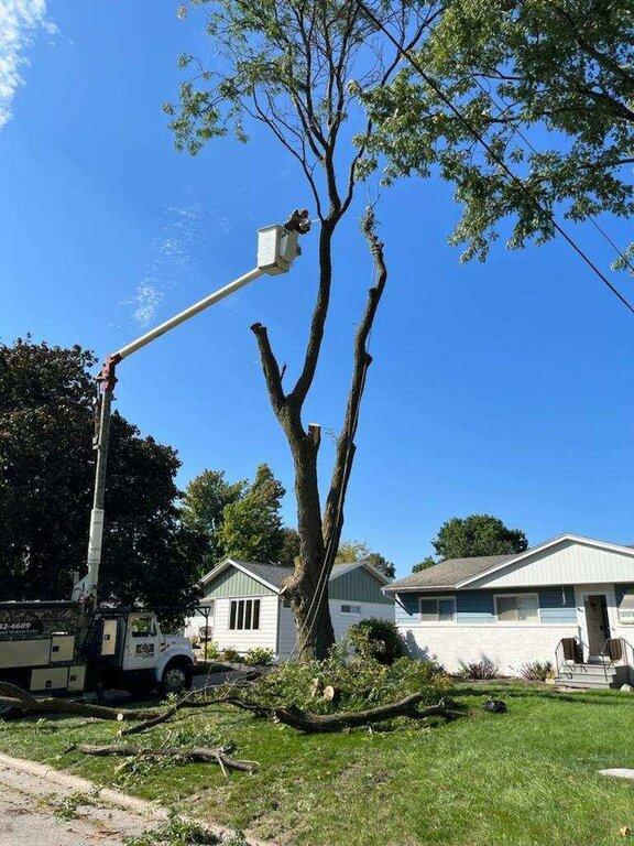 D&J's Complete Tree Service