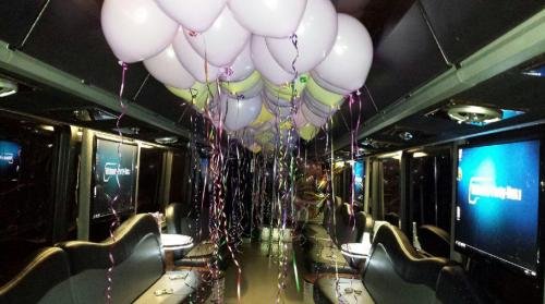 Chicago Party Bus Pros