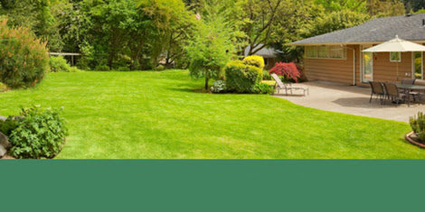 Green Giant Lawn & Tree Care