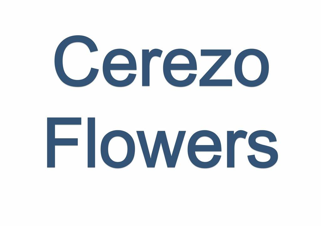 Cerezo Flowers