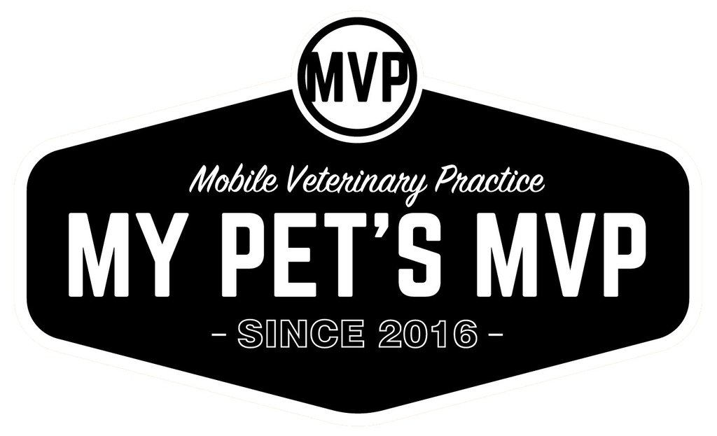 My Pet's MVP Austin-Lyndsey Kingsley, DVM