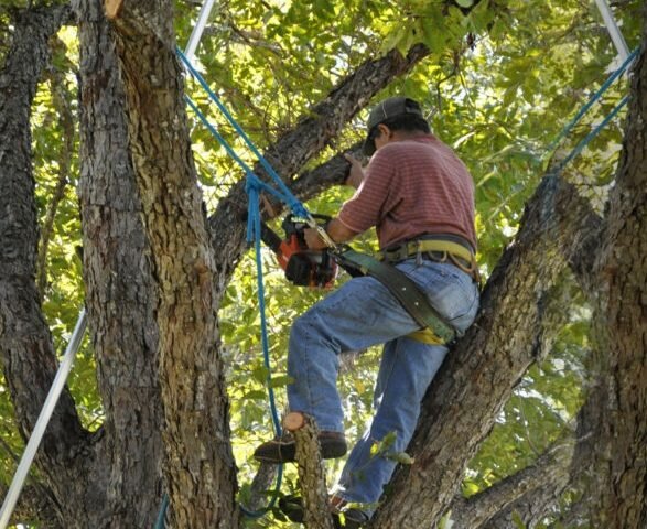 Owens Brothers Tree Service