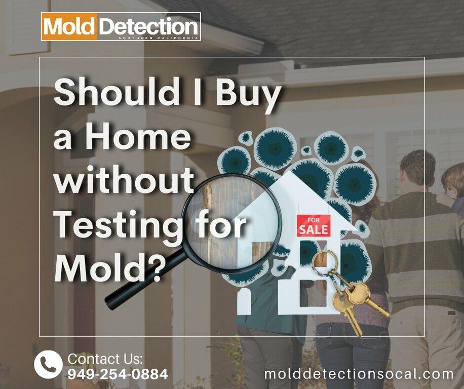 Mold Detection Southern California