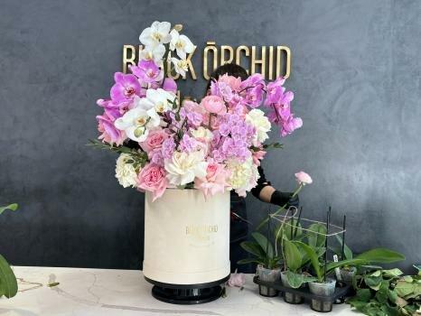 Black Orchid Flowers