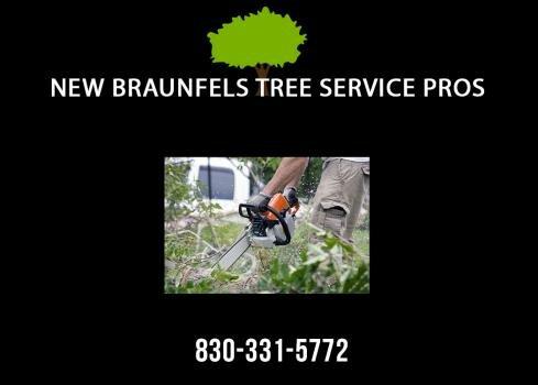 New Braunfels Tree Service Pros