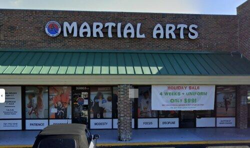 Level 10 Martial Arts College