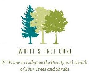 White's Tree Care & Pruning