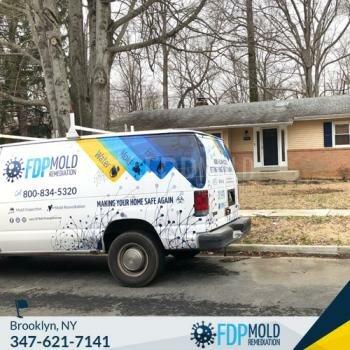 FDP Mold Remediation of Brooklyn