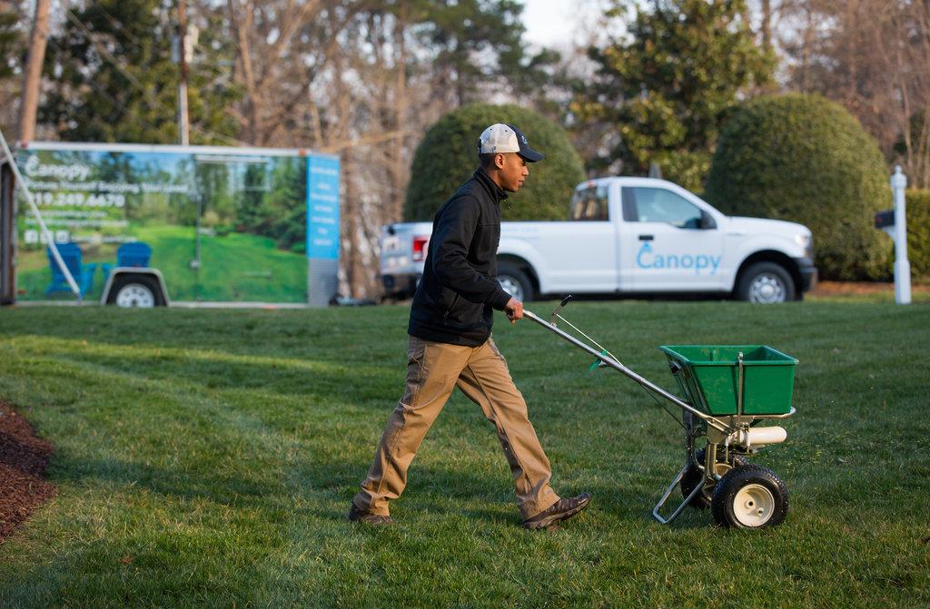 Canopy Lawn Care