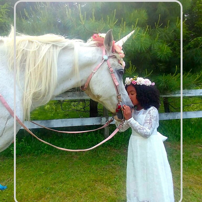 Breezy Meadow Equestrian Centre