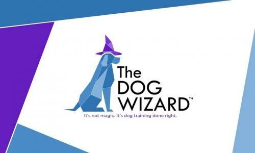 Nashville Dog Wizard