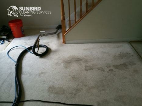 Sunbird Cleaning Services