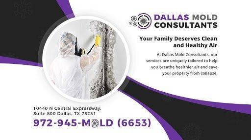 Dallas Mold Consultants