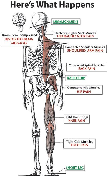 Carlsbad Atlas Chiropractic-Dr Mark Van Doren, DC